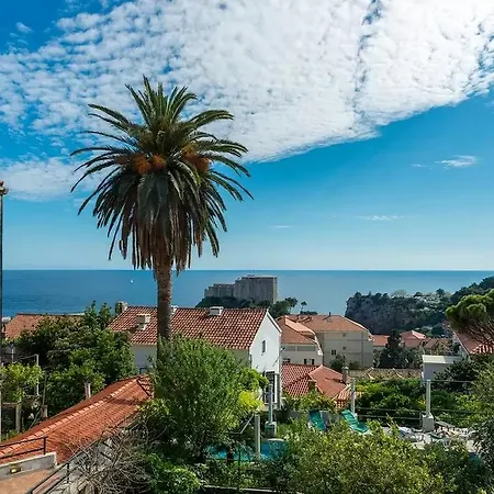 Vista